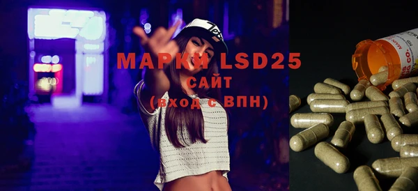 крисы Верея