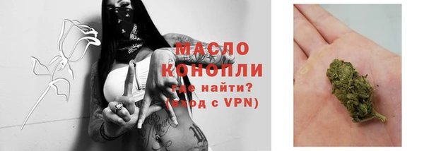 крисы Верея