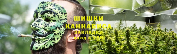 твердый Бронницы