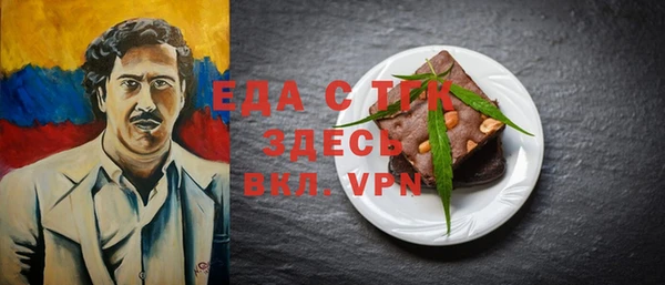 индика Покачи