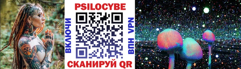 Галлюциногенные грибы Psilocybe  Канаш 